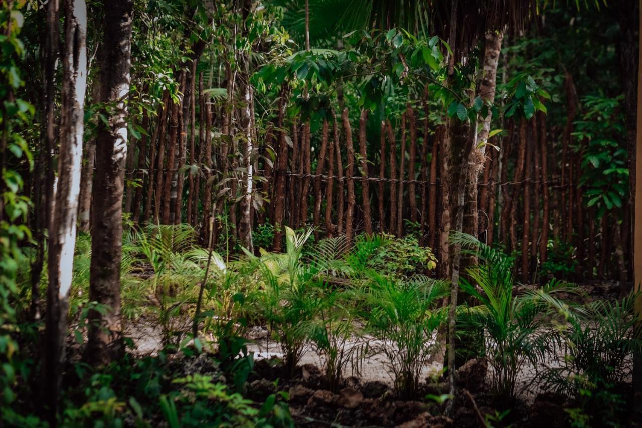 Lunita Jungle Experience Hotel Puerto Morelos Exterior photo